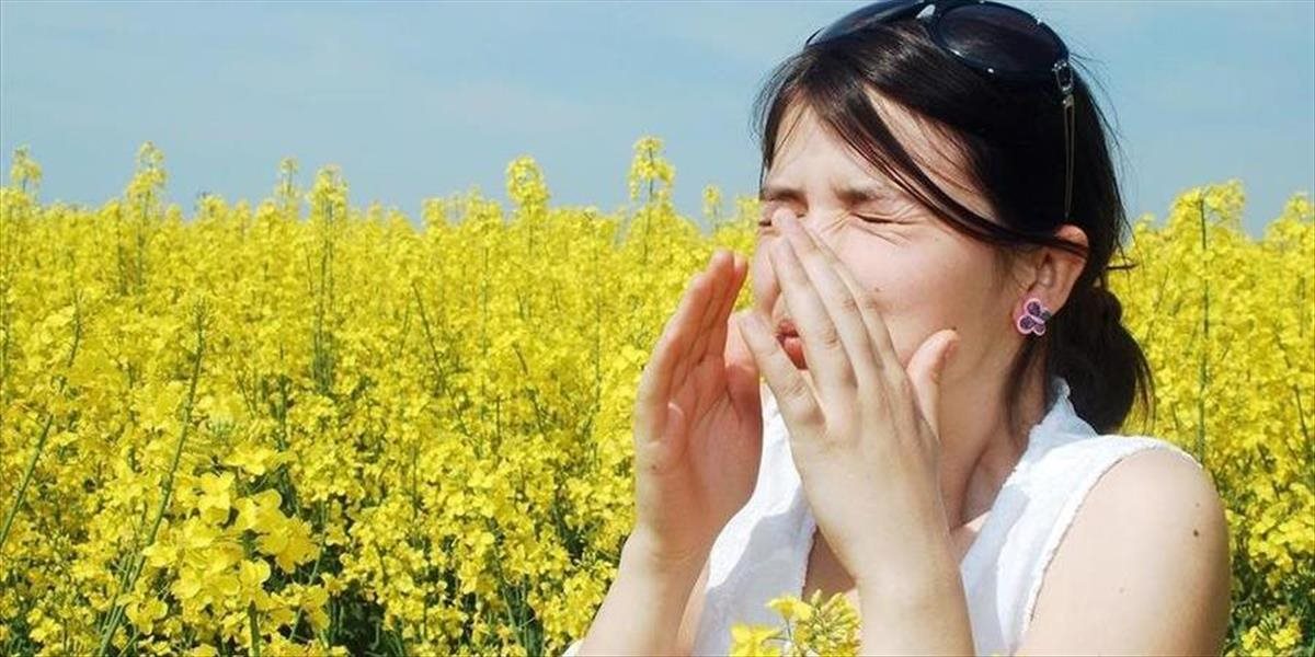 Alergici pozor: Zaznamenali nárast koncentrácií peľu v ovzduší