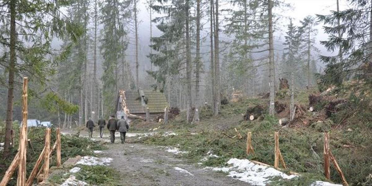 Marcovú veternú kalamitu v tatrách budú odstraňovať dva mesiace