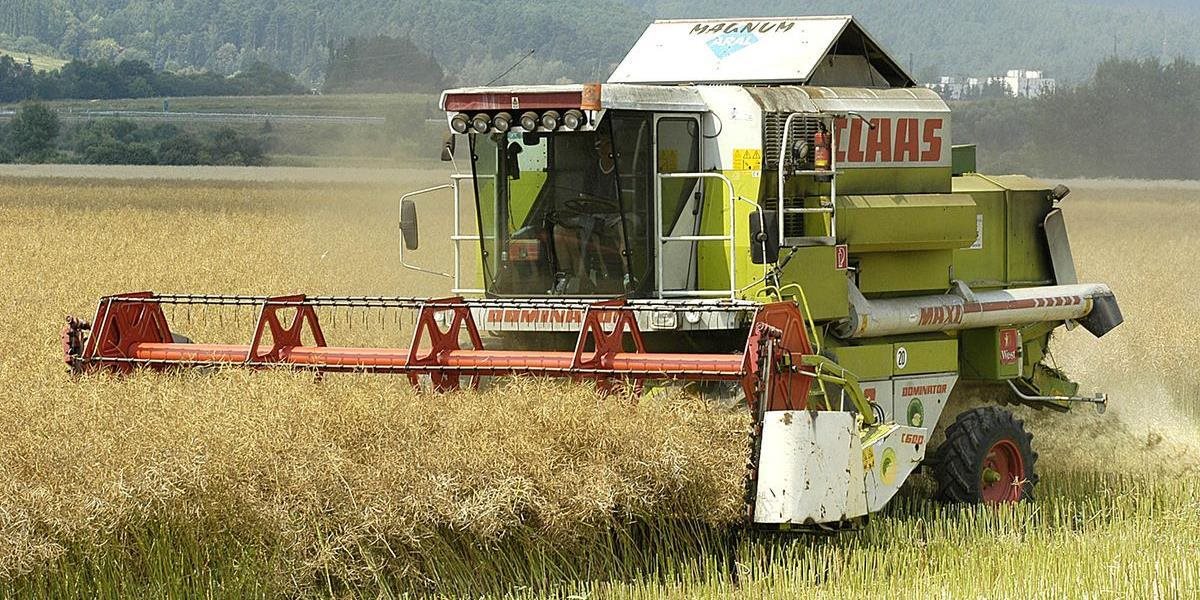 Poľnohospodárske firmy v tomto roku očakávajú mierny pokles produkcie
