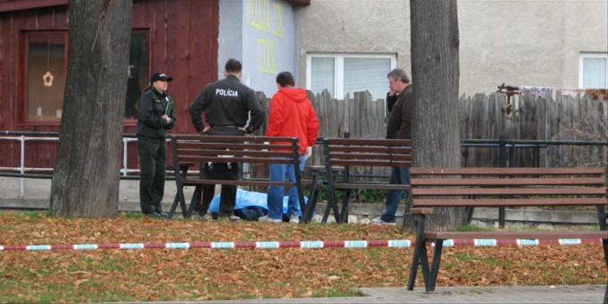 V košickom parku našli dnes mŕtveho muža, prípad vyšetruje polícia