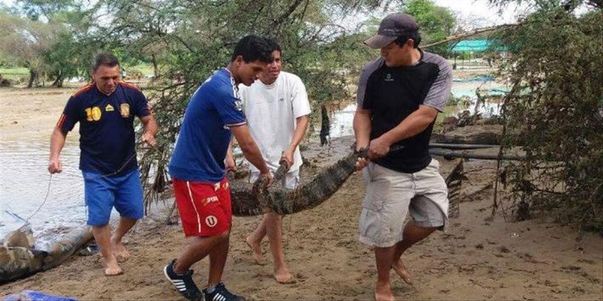 FOTO Poplach v Peru: Zo zoo ušlo deväť krokodílov a aligátorov