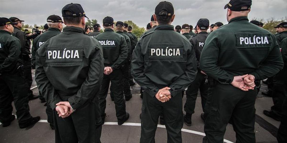 Desať policajtov odišlo na srbsko-bulharskú hranicu