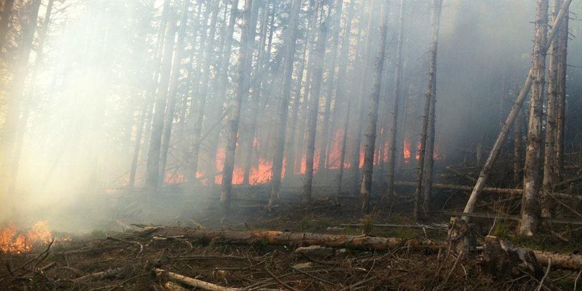 Pri Veľkom Slavkove horel les, s požiarom si hasiči poradili asi za tri hodiny