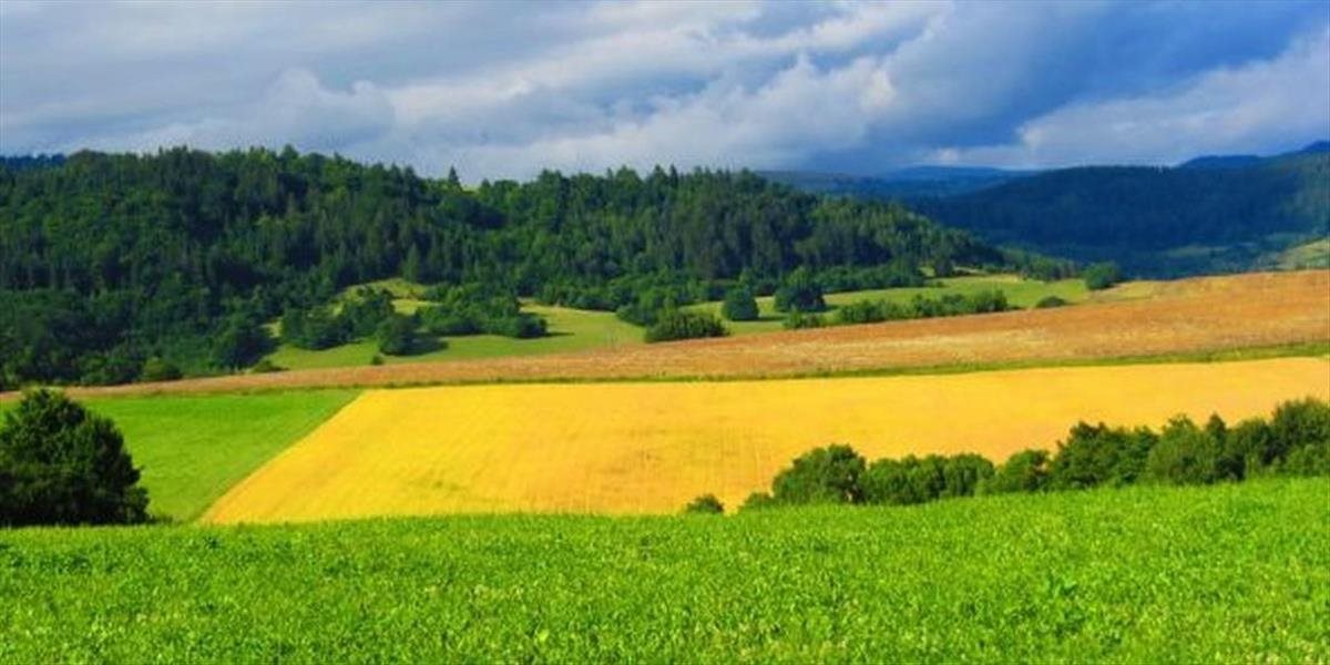 Vláda chce zmierniť masívny predaj slovenskej pôdy, sprísňuje podmienky