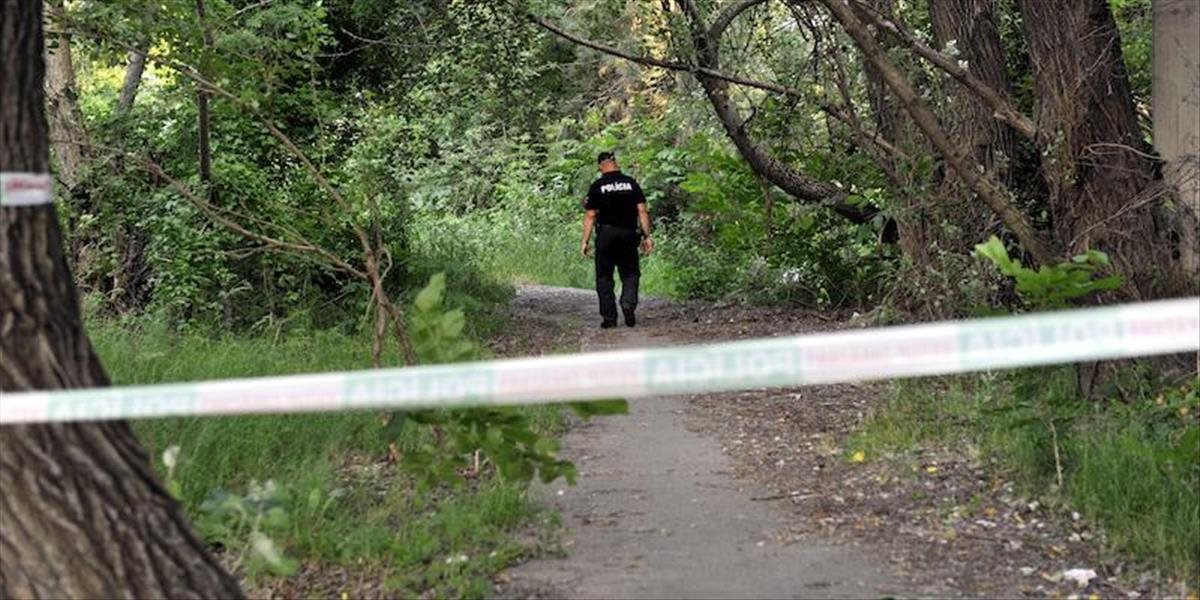 Na poľnej ceste v Bratislave našli mŕtveho dôchodcu, na mieste našli aj zbraň