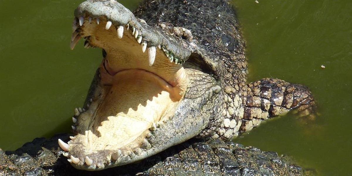 Namíbijčanka zápasila s krokodílom, aby zachránila manžela, polícia jej udelila cenu