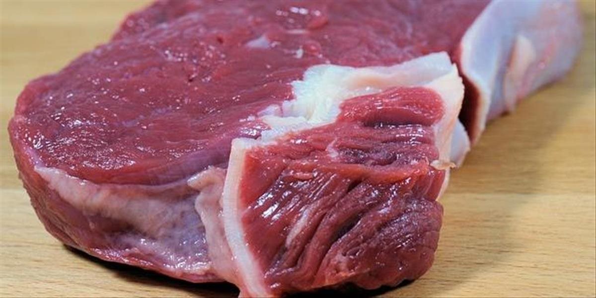 SNS: Je v záujme strany, aby sa v súvislosti s  pokazeným brazílskym mäsom konalo