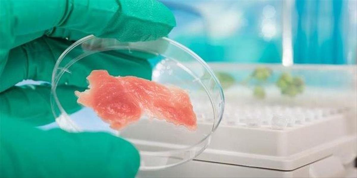Hygienici evidujú opäť ďalší prípad salmonely v mäse z Brazílie