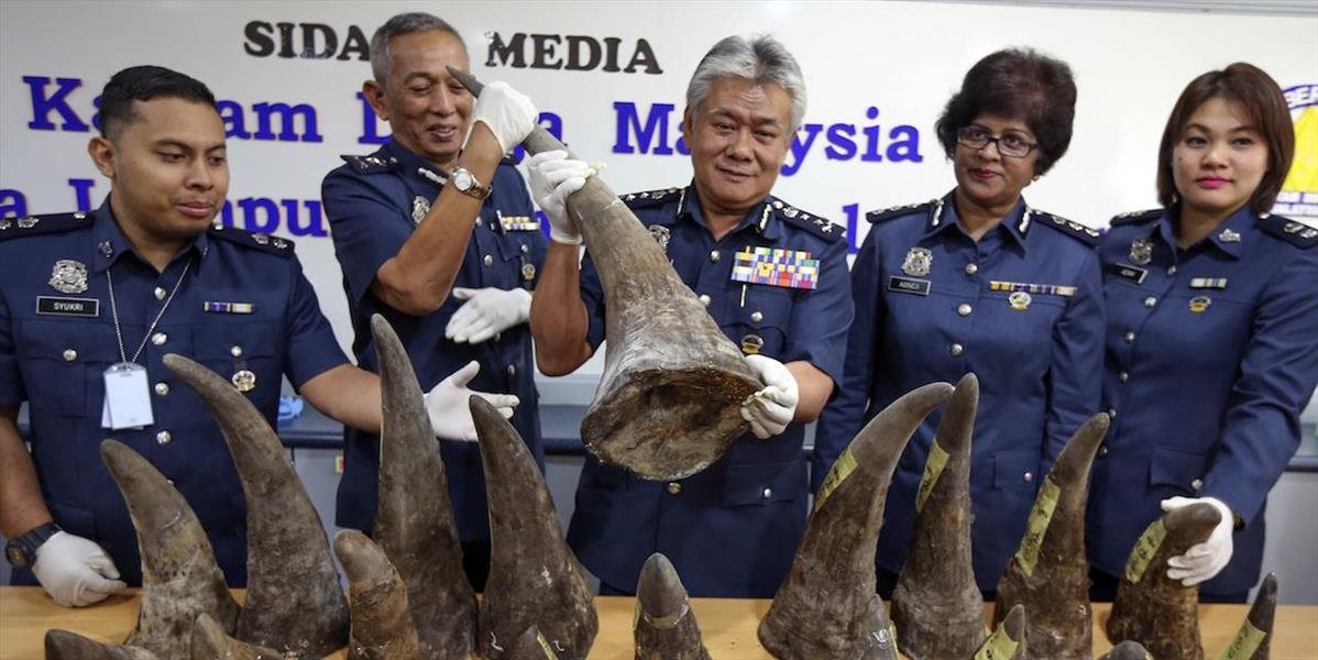 Malajzia zhabala 18 rohov nosorožcov z Mozambiku