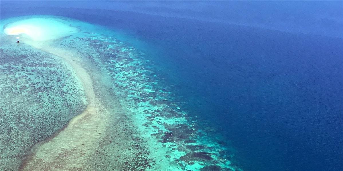 Veľká koralová bariéra rýchlo umiera, vybledlo z nej už 90%