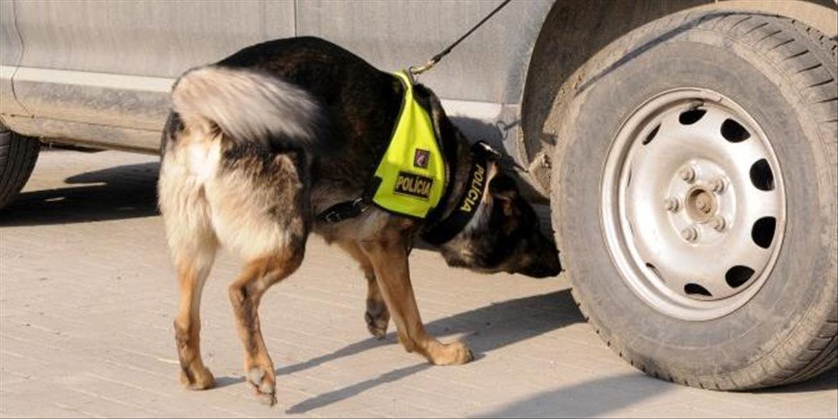 Žilinskí colníci v spolupráci s policajným psom Argom zadržali marihuanu a pervitín