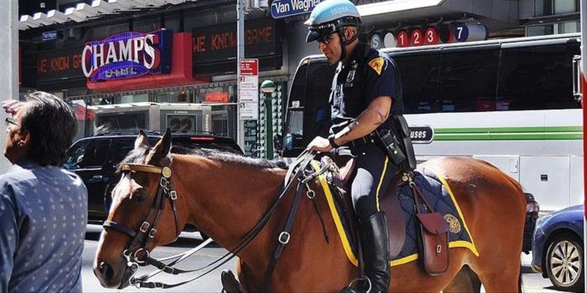 Oddnes budú v Bratislave spoločne hliadkovať mestskí i štátni policajti na koňoch
