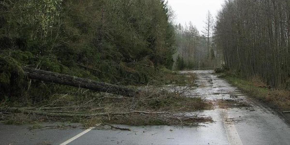 Cestu cez Súľovu uzavreli pre popadané stromy