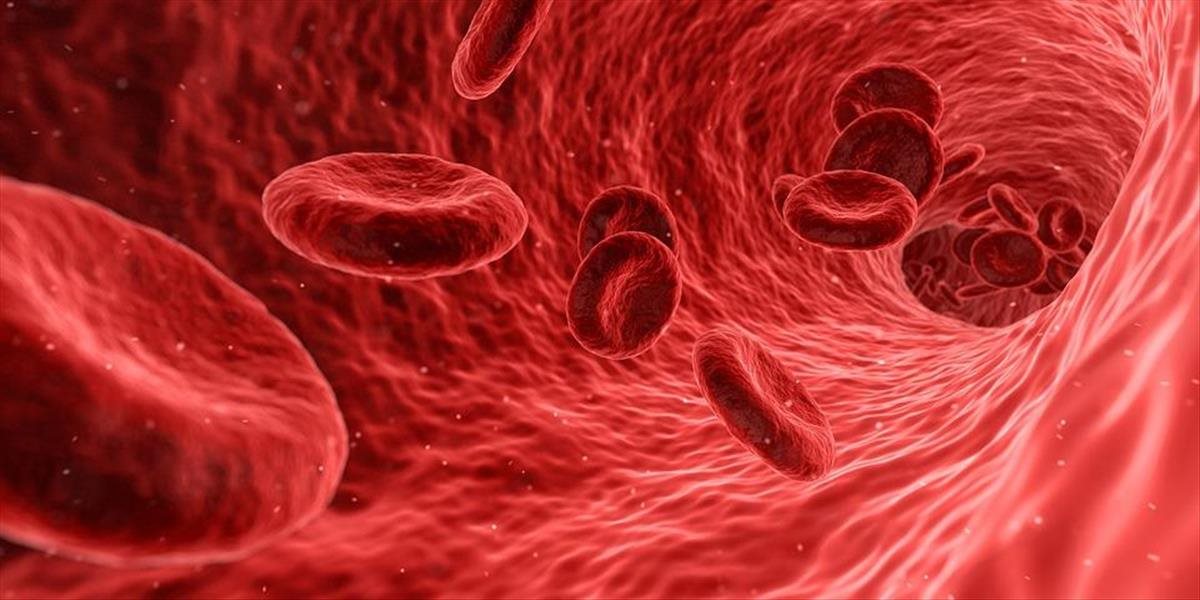 Ľudské telo stále nepoznáme dokonale: Vedci objavili štyri nové typy krvných buniek