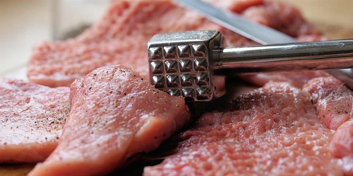 Českí potravinári budú musieť mäso z Brazílie povinne testovať na salmonelu