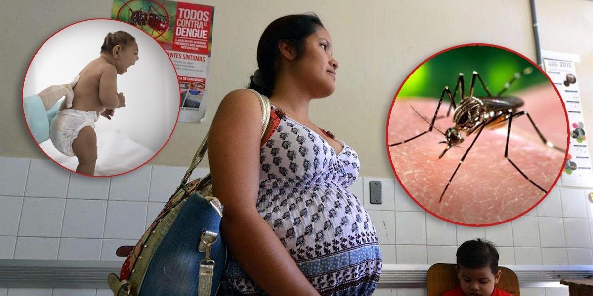 Brazília zrušila stav pohotovosti v súvislosti s vírusom zika, chorobnosť klesla na požadované minimun
