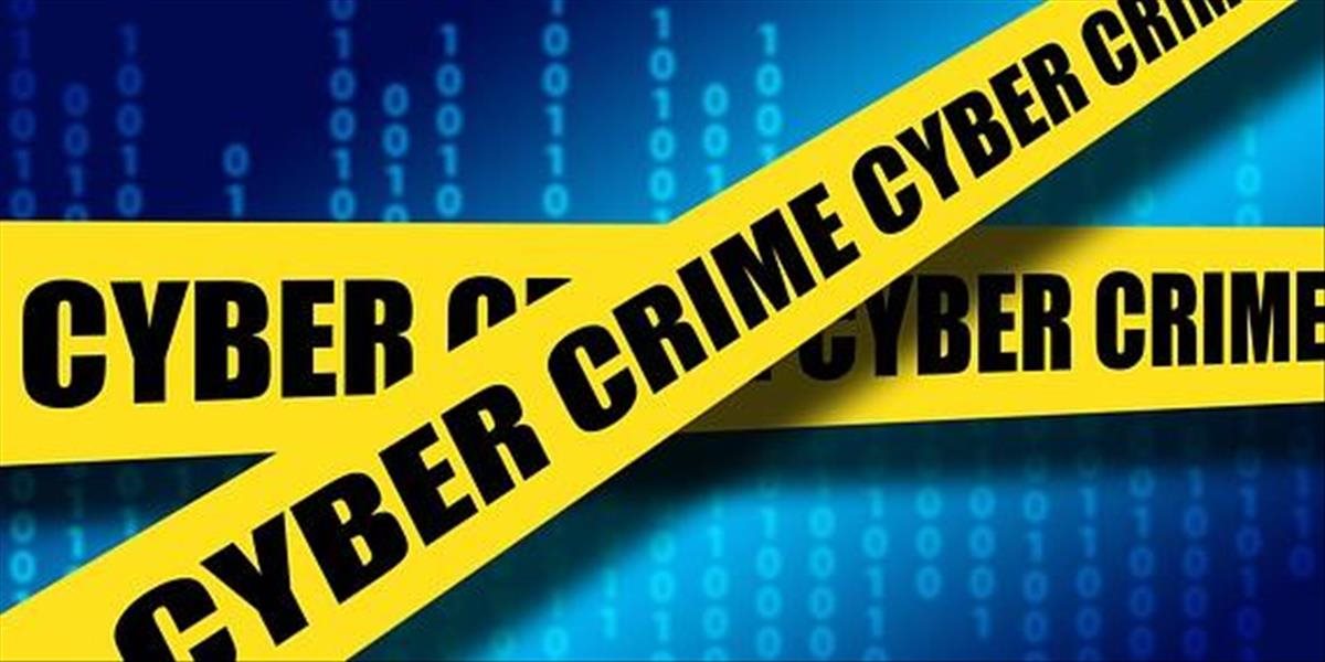 Počítačové útoky bude vyšetrovať Spolkový kriminálny úrad