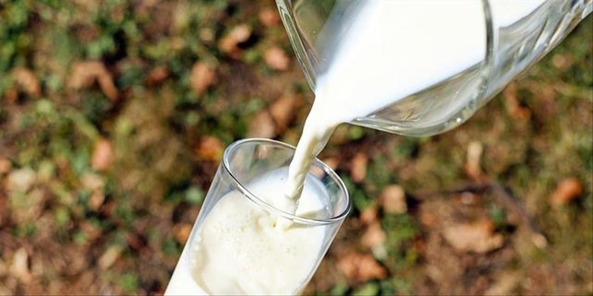 Svetový deň mlieka prinesie do ulíc mliečne hliadky