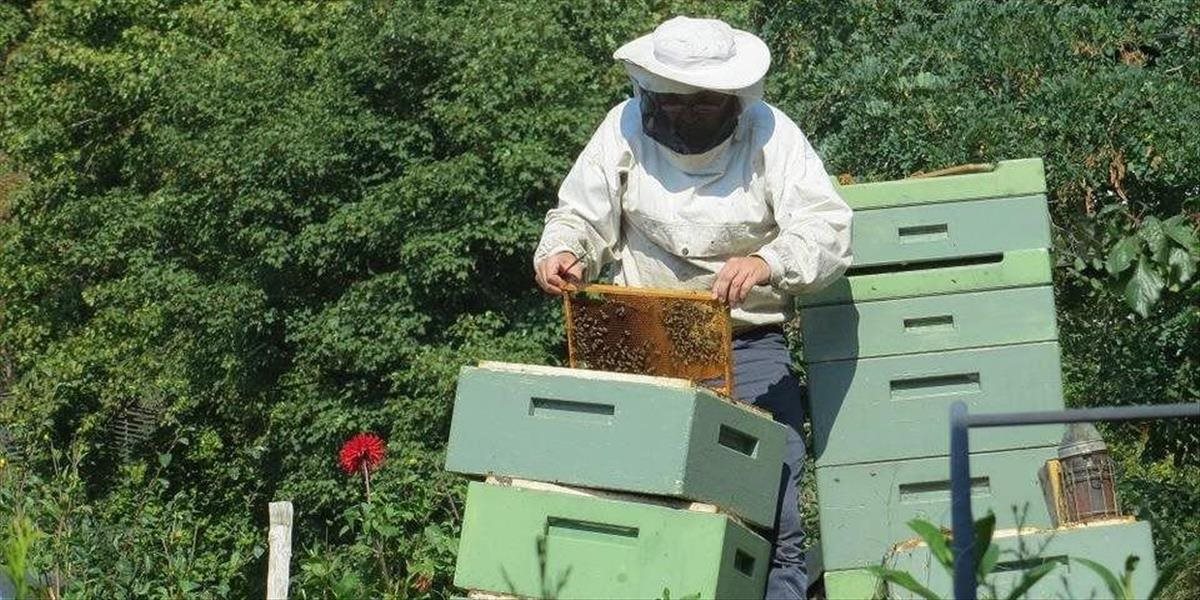 Agrorezort rozširuje podporu pre včelárov, rozdelia si ročne 1,2 milióna eur