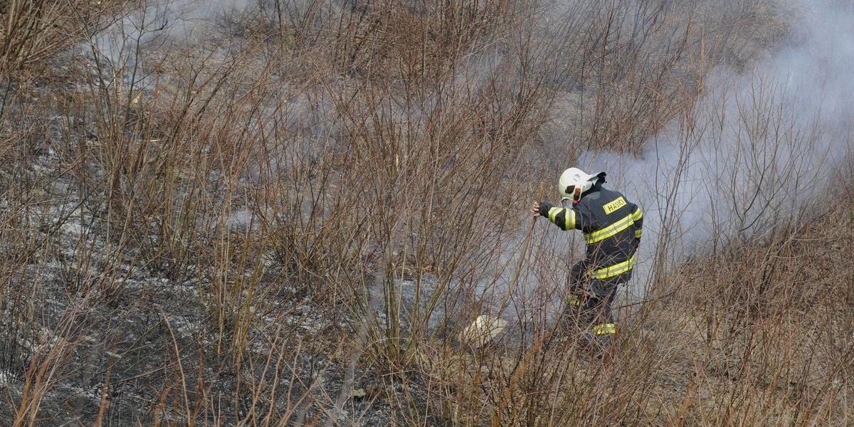 Bratislavskí hasiči zasahujú pri požiari porastu