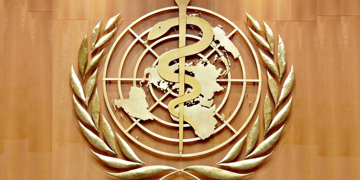 Svetová zdravotnícka organizácia šafári s peniazmi, väčšiu časť peňazí z rozpočtu dáva na cestovanie namiesto na lieky