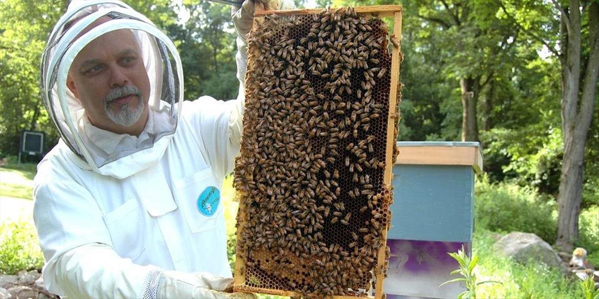 V Británii sa až do konca júna koná veľké sčítanie včiel