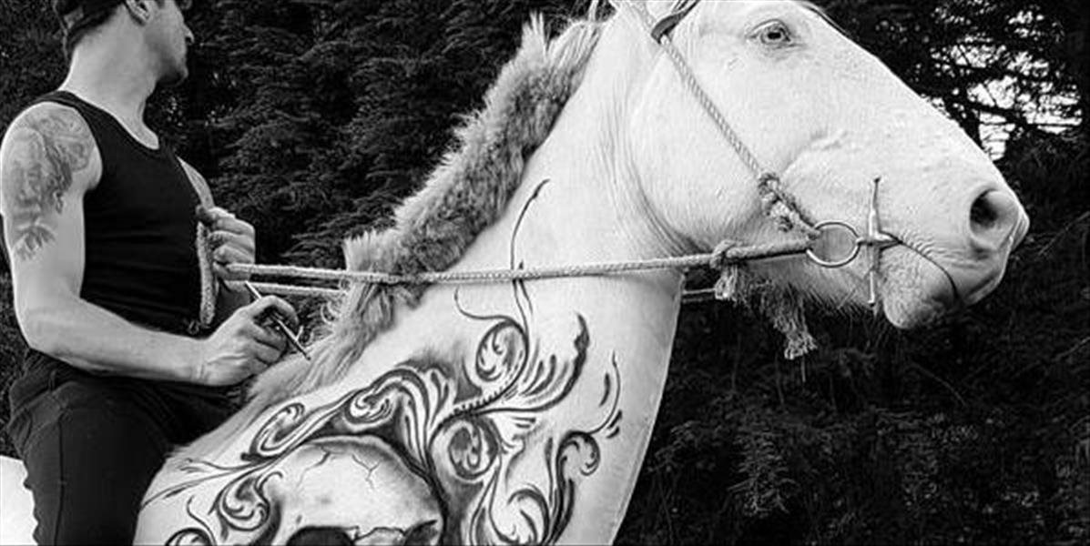 FOTO Netradičný dizajn: Umelec na Novom Zélande tetuje kone