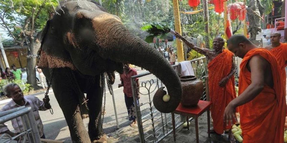 Slon počas budhistickéj ceremónie napadol a zabil mnícha
