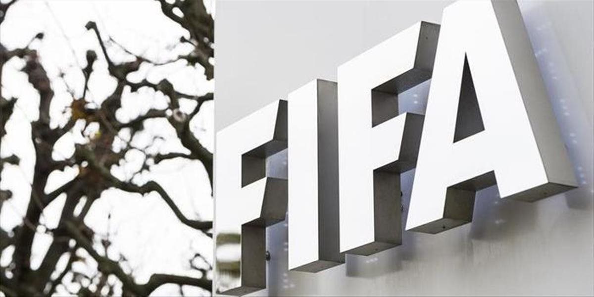 FIFA bude aj na Pohári konfederácií testovať jastrabie oko