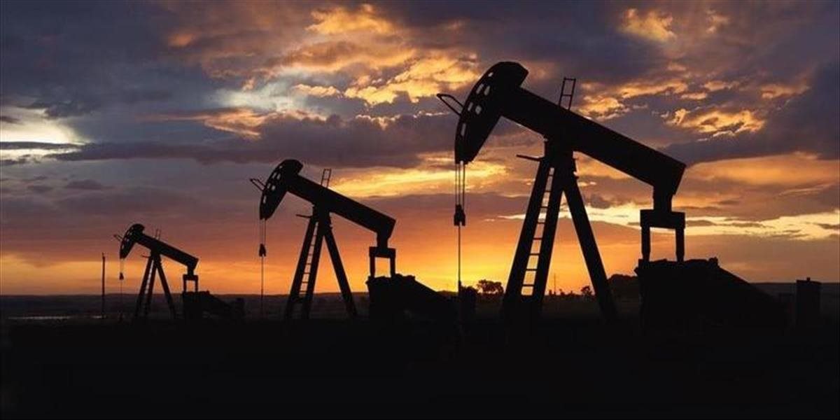 Ceny ropy stagnujú, americká WTI sa obchoduje na úrovni 44,50 USD/barel