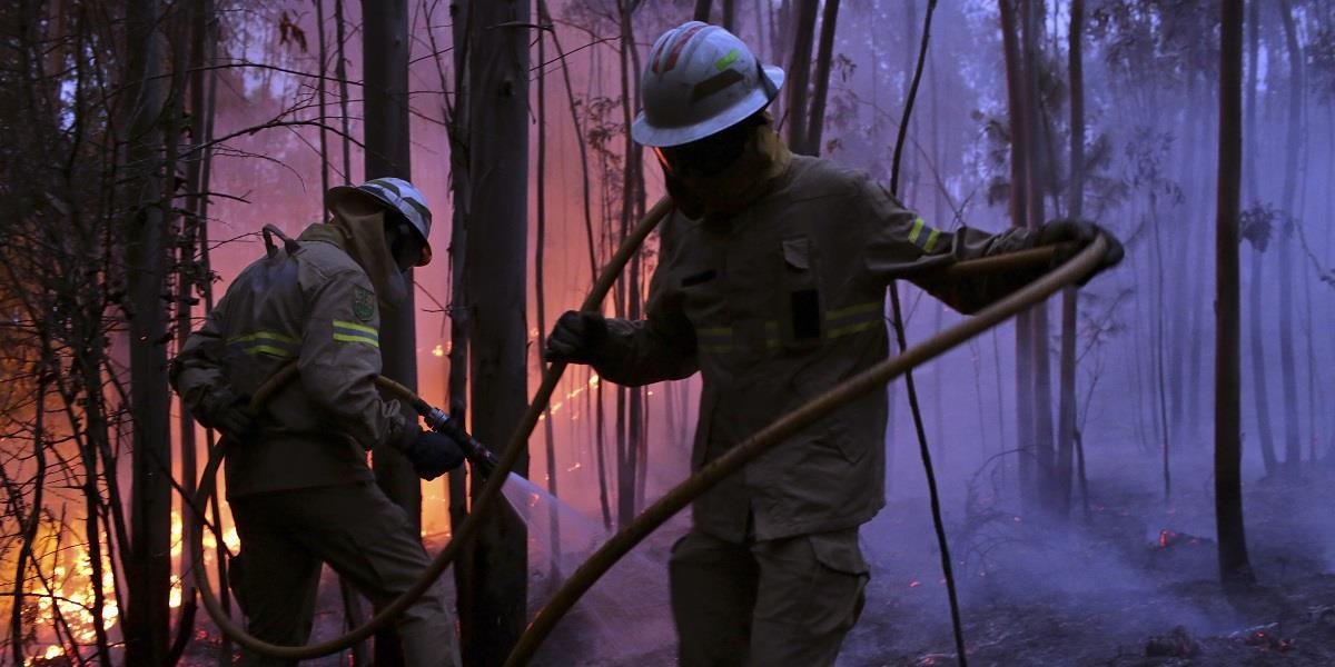 Lesný požiar si vyžiadal najmenej 25 obetí