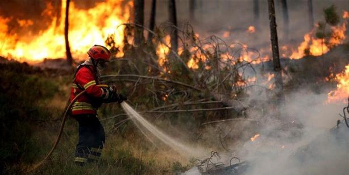 Počet obetí lesného požiaru stúpol na 39