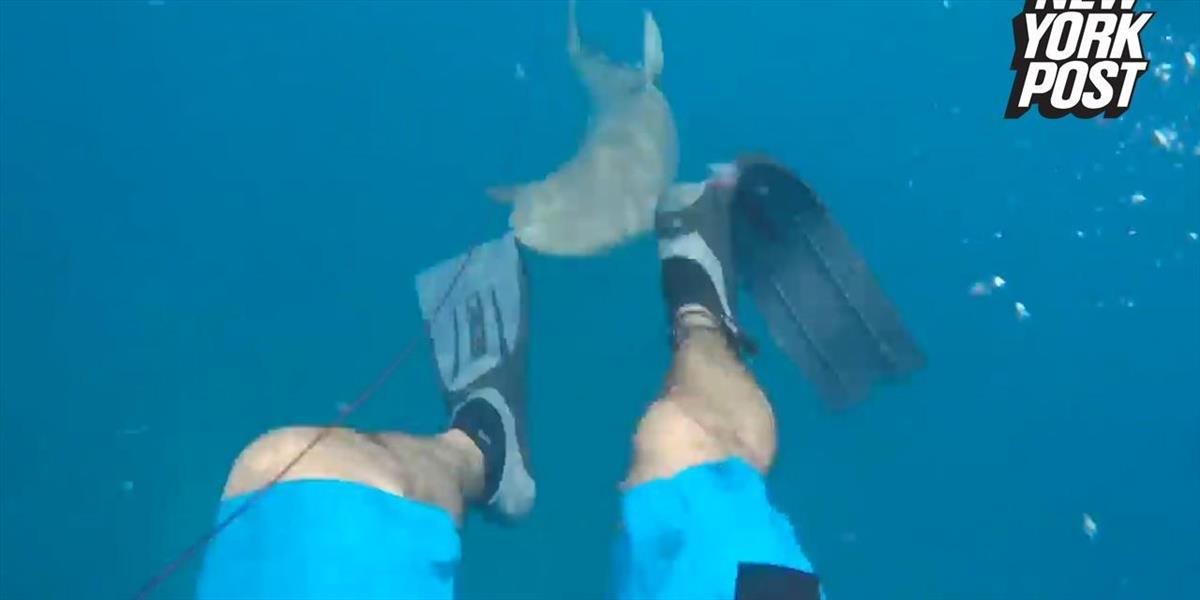 Potápač natočil, ako na neho zaútočil trojmetrový žralok