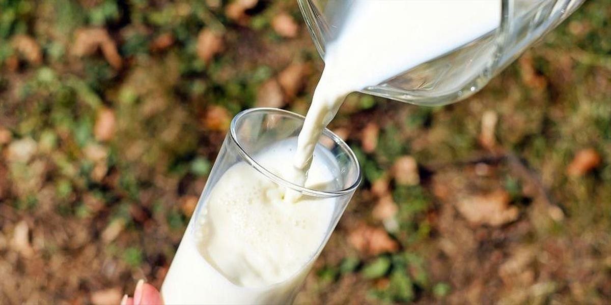 Podľa producentov mlieka sú nákupné ceny na Slovensku príliš nízke