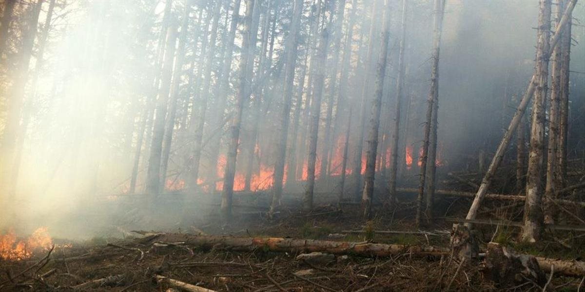 Výstraha: V okresoch Levice a Nové Zámky platí zvýšené nebezpečenstvo vzniku požiaru
