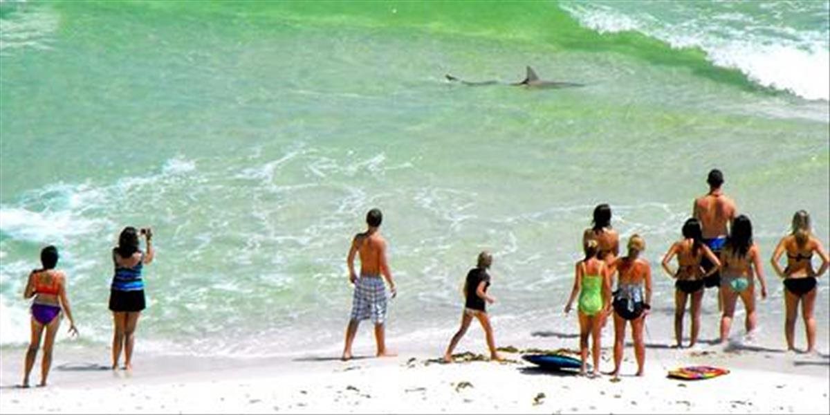 Panika na španielskej pláži: VIDEO Turistov na Malorke vydesil žralok