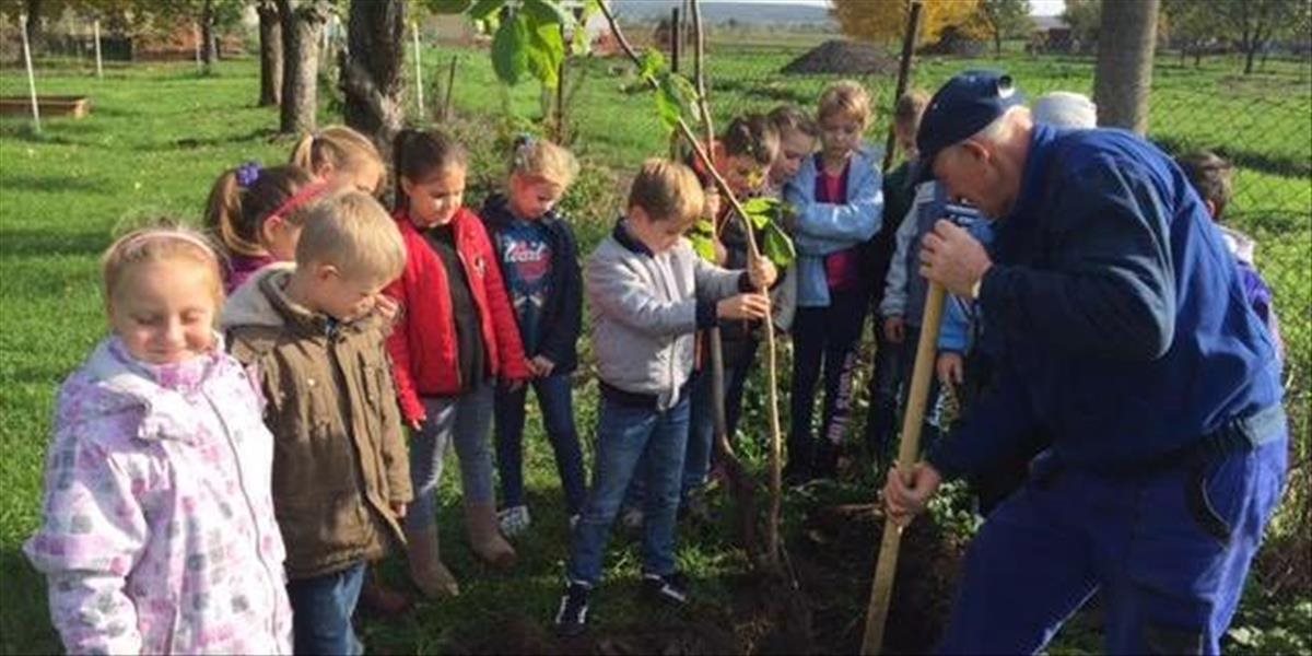 Projekt Tatranskí rytieri podnieti školákov k ochrane prírody