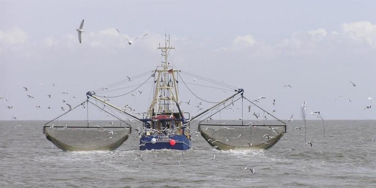 Británia odstúpi od medzinárodnej dohody o rybolove, ostatným krajinám obmedzí ich lov