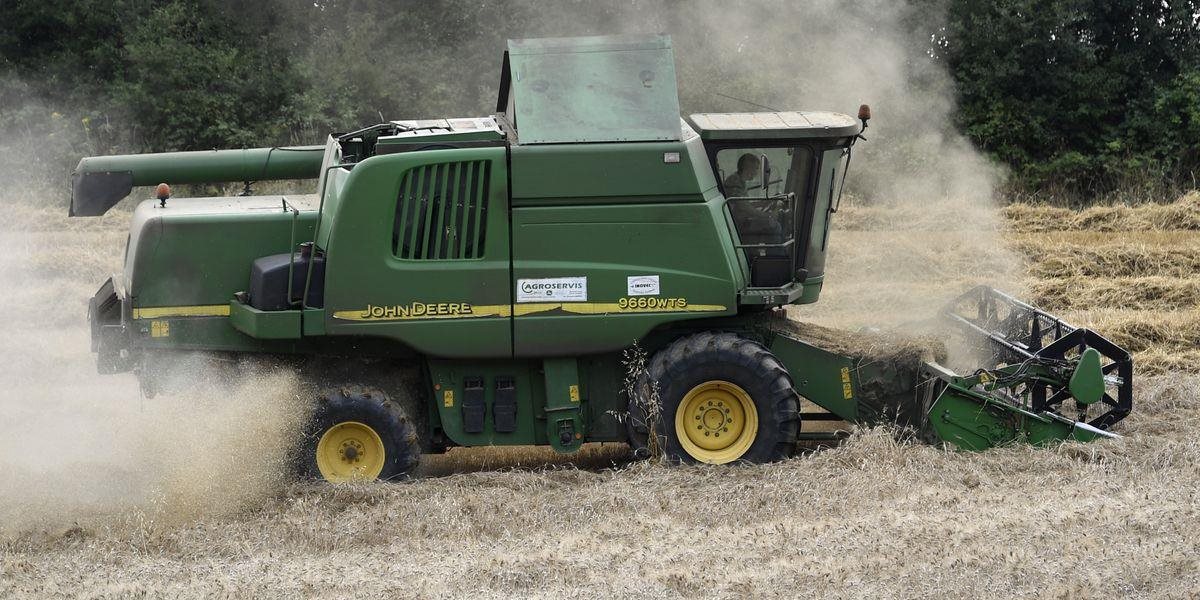 Poľnohospodári na Slovensku už začali so žatvou obilia