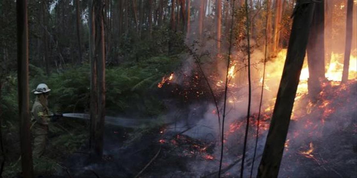 Hasiči bojujú s ďalším lesným požiarom, ktorý si vyžiadal šesť zranených
