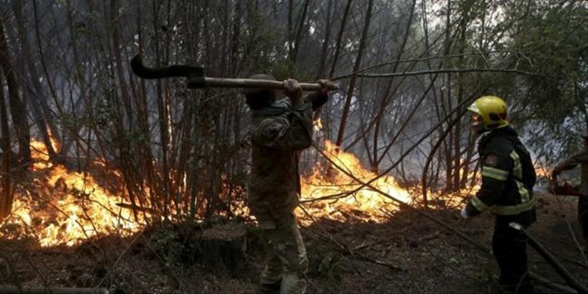 Pre veľký požiar porastu v Bratislave prišli zasahovať i dobrovoľní hasiči