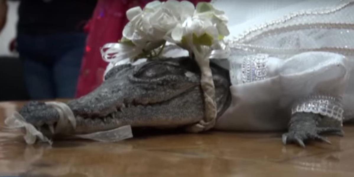 VIDEO Mexiko zažilo veľmi netradičnú svadbu: Starosta sa oženil s krokodílom
