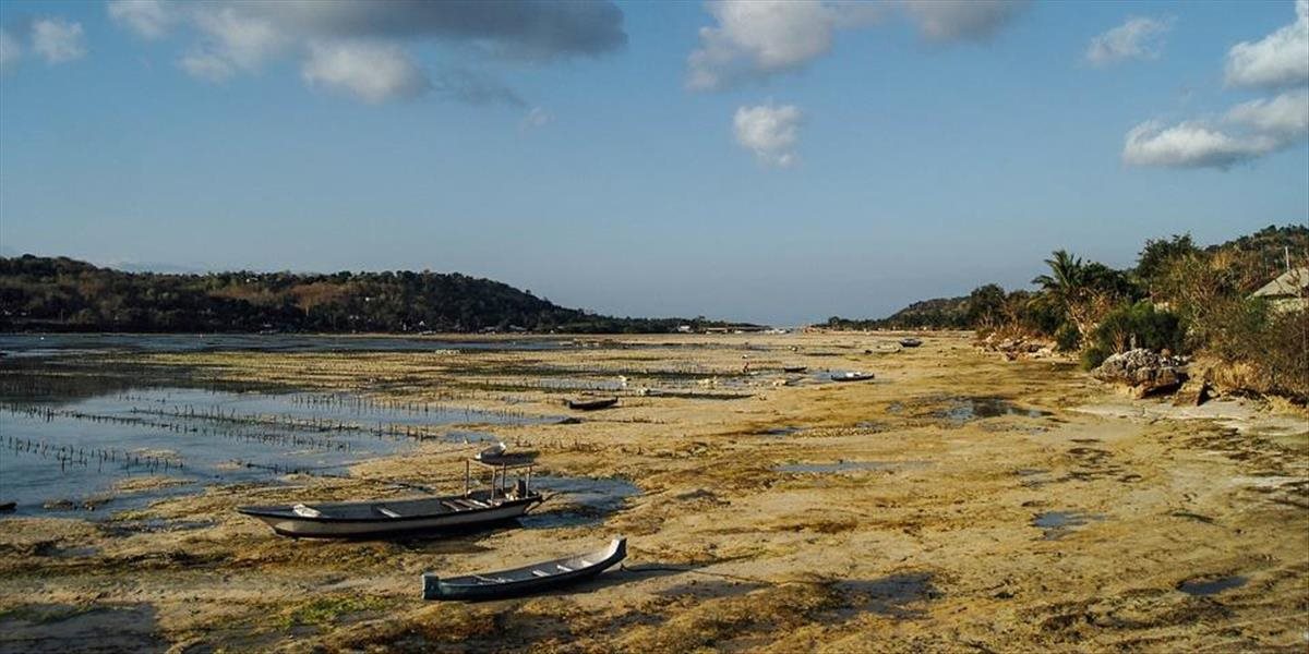 Portugalsko pre extrémne sucho zavádza krízové opatrenia, vláda zakázala polievať zeleň