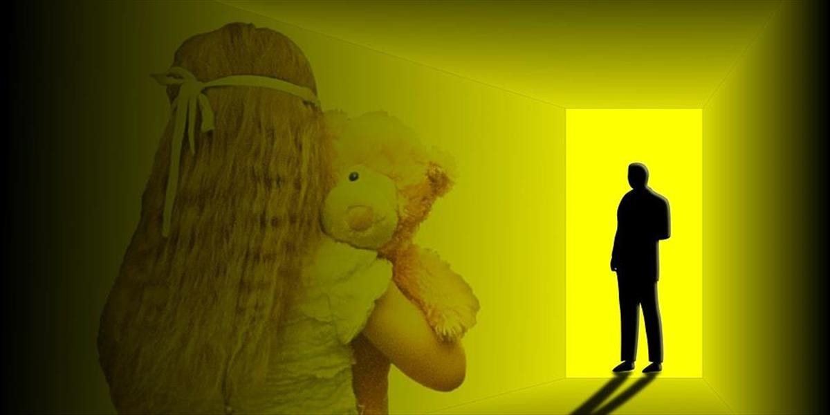 Česká polícia zasiahla proti šíriteľom detskej pornografie, obvinili 11 ľudí