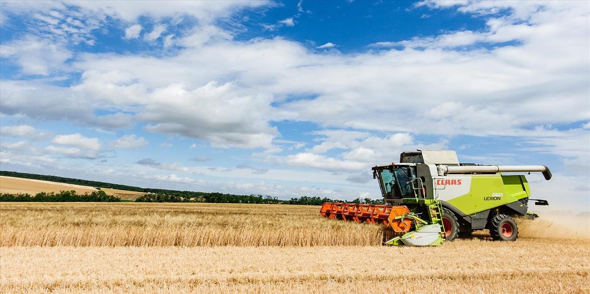 Slovenské poľnohospodárstvo zažilo tretí úspešný rok v rade, zisk vzrástol o 37 %