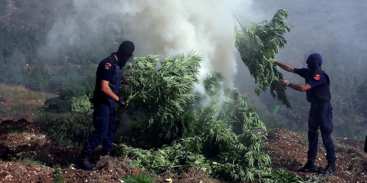 Polícia v Albánsku zadržala vyše 16 ton marihuany: Drogy budú zneškodnené