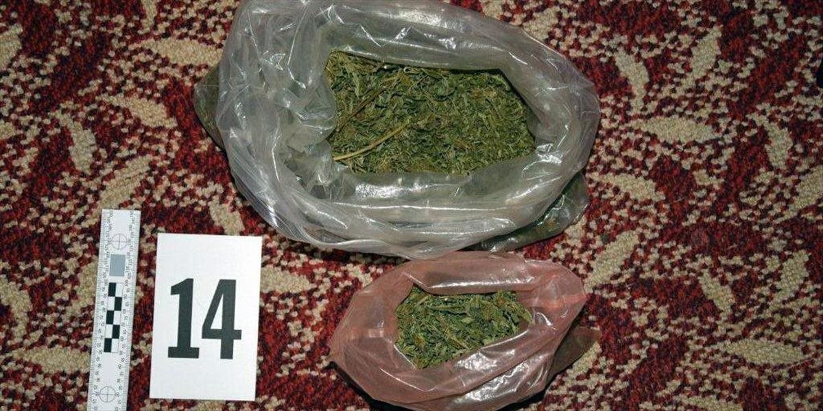 FOTO Pri prehliadkach v Myjave našli drogy aj zbrane, dvoch mužov obvinili