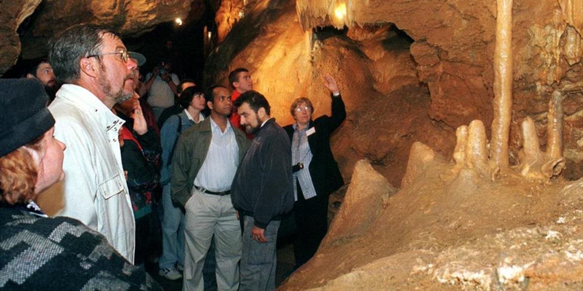 Jaskyňa Driny je jedinečná výskytom 11 druhov netopierov a kvapľovou výzdobou