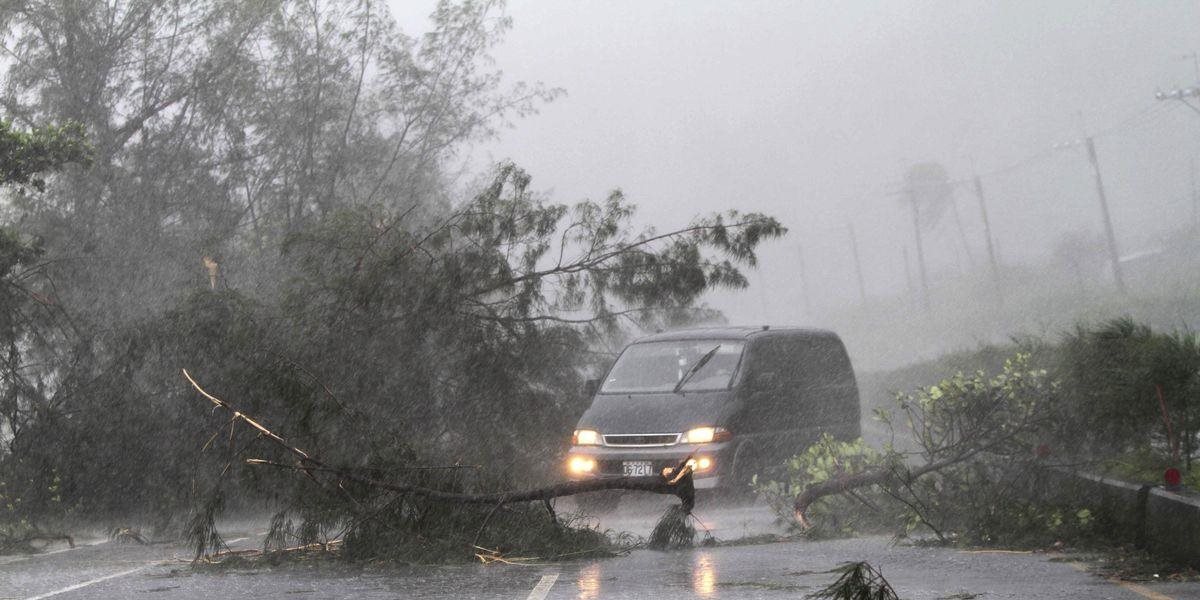 Víchrica udrela aj v Maďarsku: Na severovýchode vyvracala stromy, dve ženy zasiahol blesk