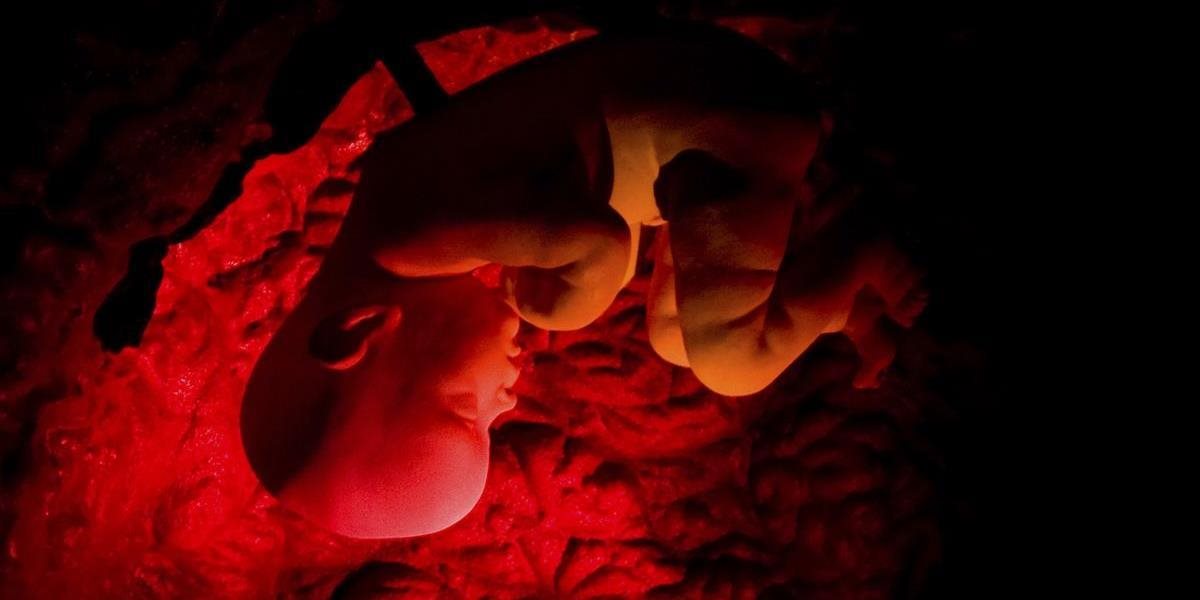 Vedci z Oregonu po prvý raz v USA upravili gény ľudského embrya, už onedlho budú dedičné choroby minulosťou